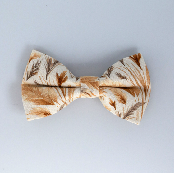 Coastal Breeze Bow Tie dog 5