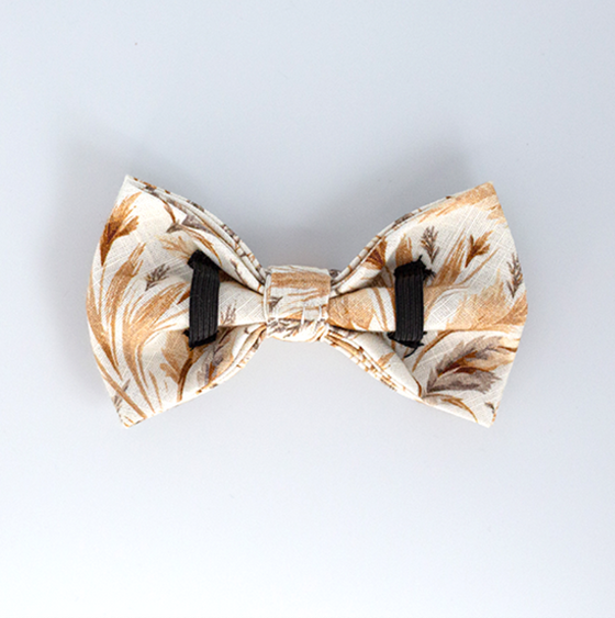 Coastal Breeze Bow Tie dog 6