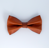 Tawny Plateau - Real Leather Bow Tie Dog 4